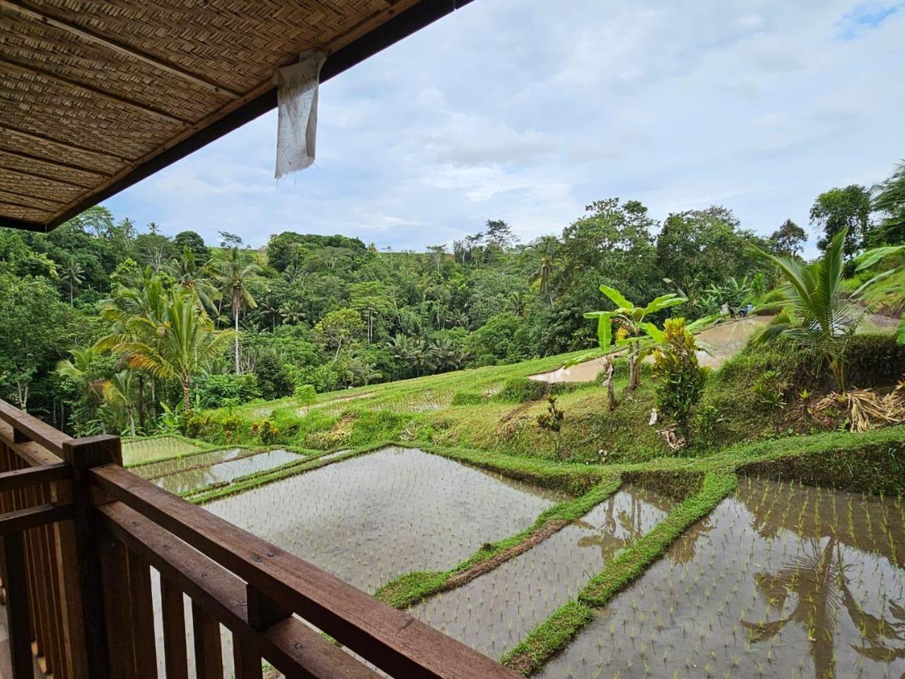 Umauthu Bali Villa Selemadeg Eksteriør billede